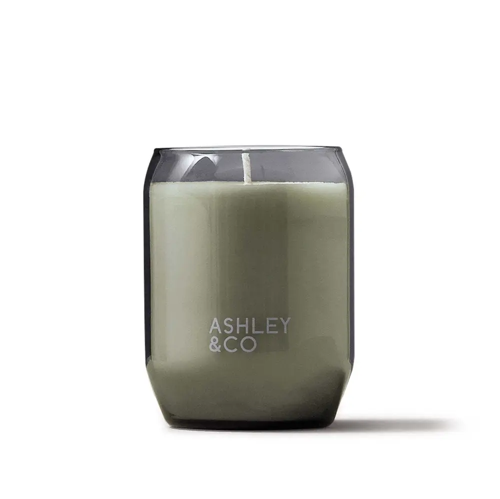 Ashley & Co Waxed Perfume 310g Scented Candle Round Parakeets & Pearls Scent - Home & Garden