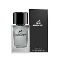 Burberry Mr Burberry Eau De Toilette 100ml - Beauty