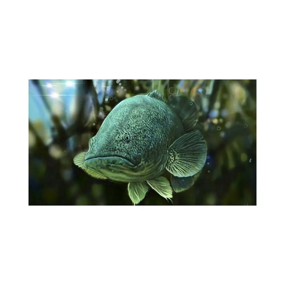 AFN Outdoor Protective Multipurpose Floor Mat Cod Fish Print 5mm Thick 70x40cm - Home & Garden