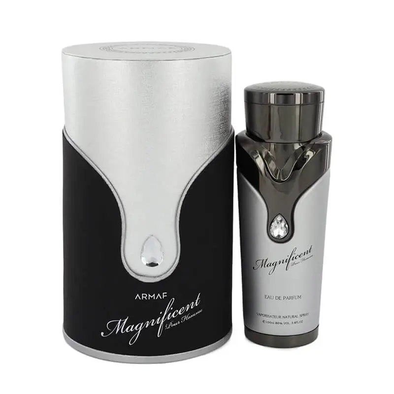 Armaf Magnificent Pour Homme 100ml EDP (M) SP - Beauty