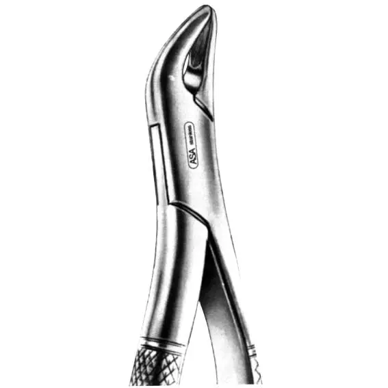 Livingstone Dental Extracting Forceps No. 62 Pre Molars US Box Joint Stainless Steel - Commercial