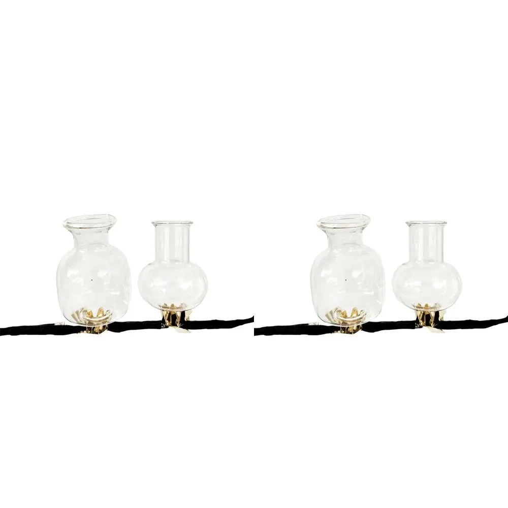 4pc Urban Products Decorative Kinkora Tube Clip Flower Vases Home Decor Clear - Home & Garden