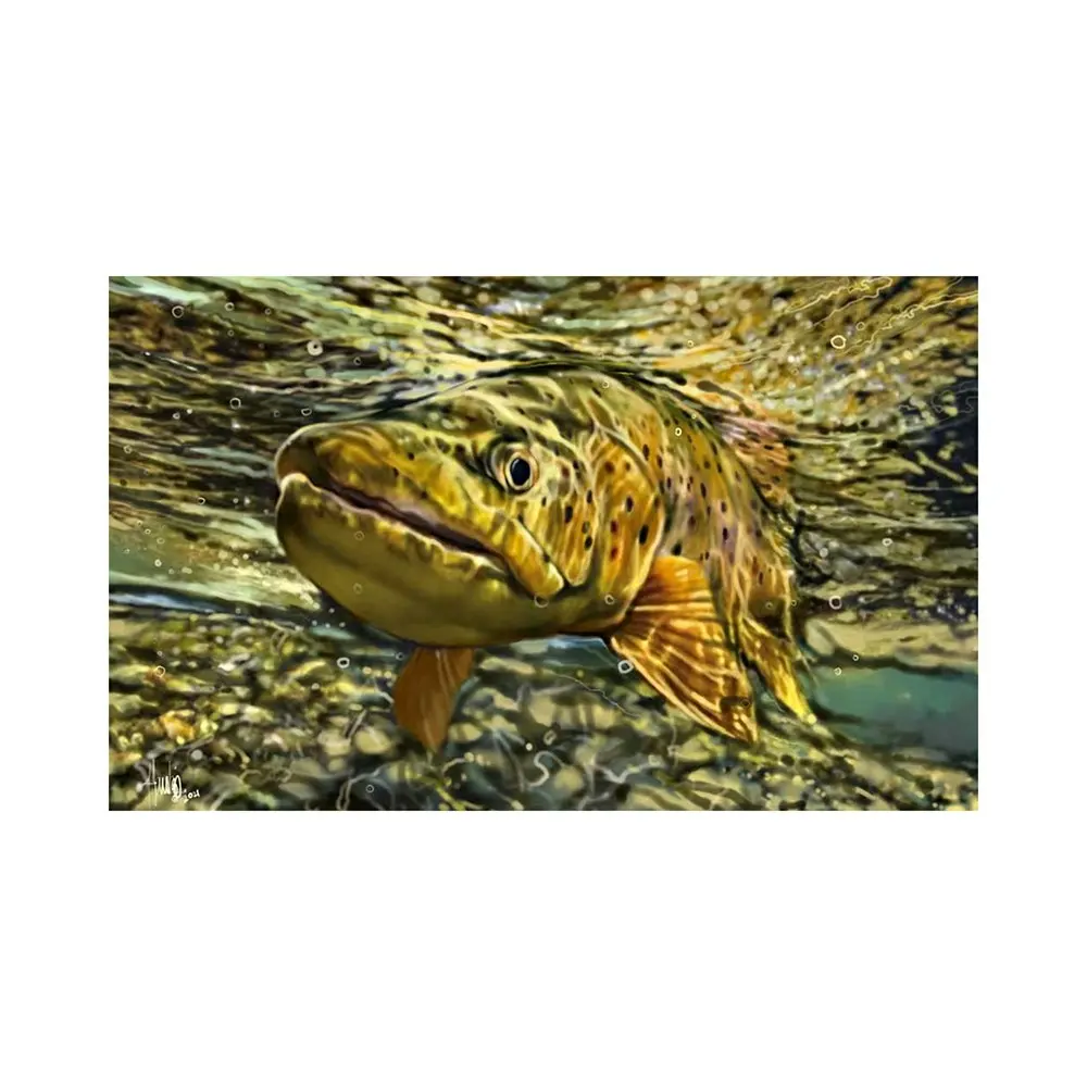 AFN Outdoor Protective Boat/Car Floor Mat Brown Trout Print 5mm Thick 70x40cm - Home & Garden