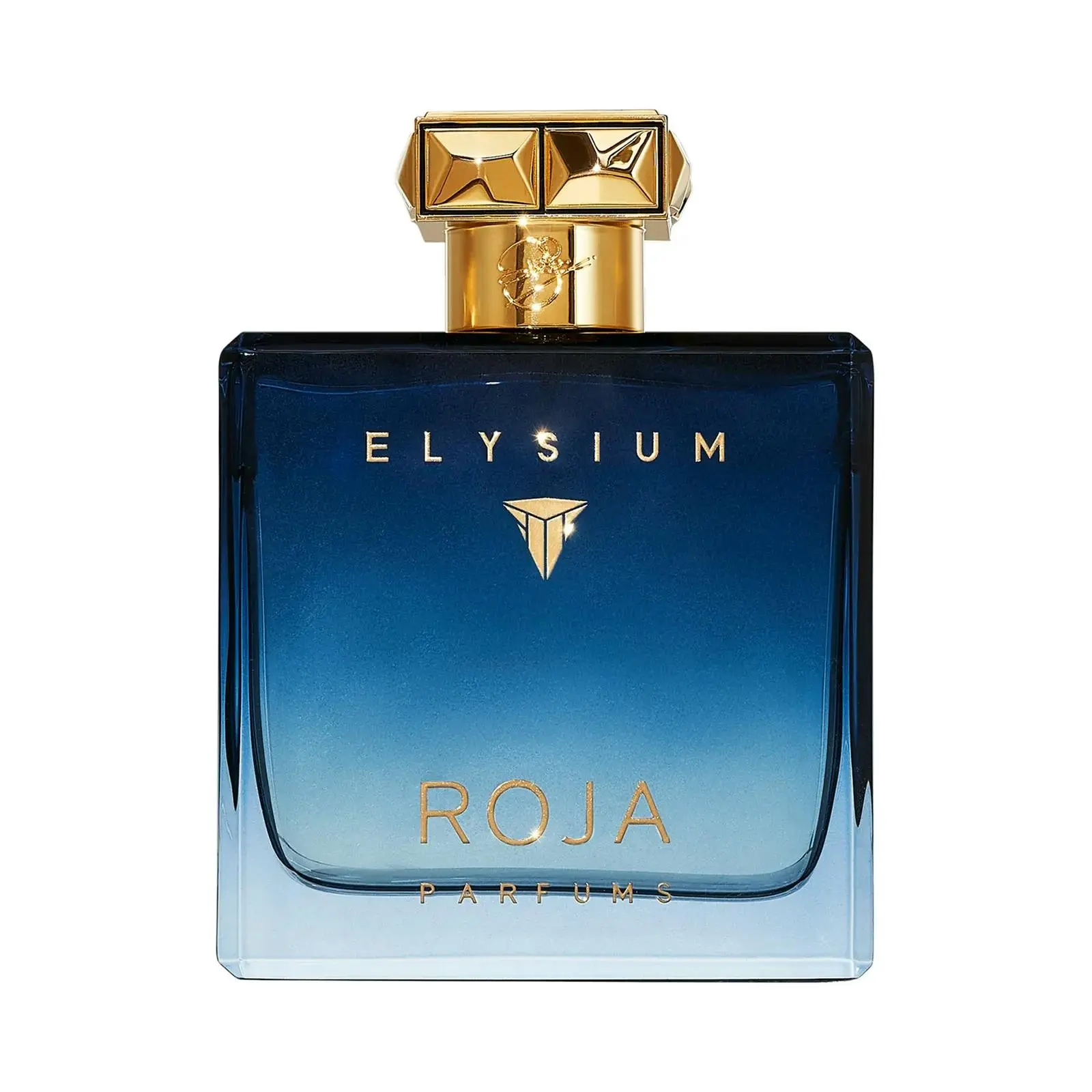 Roja Elysium Pour Homme Parfum Cologne 100ml - Beauty