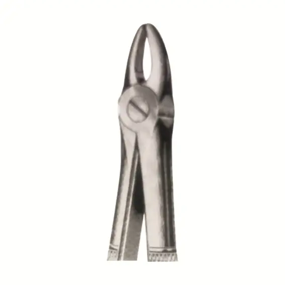 Livingstone Dental Extracting Forceps No. 2 Upper Lateral GB Stainless Steel - Commercial