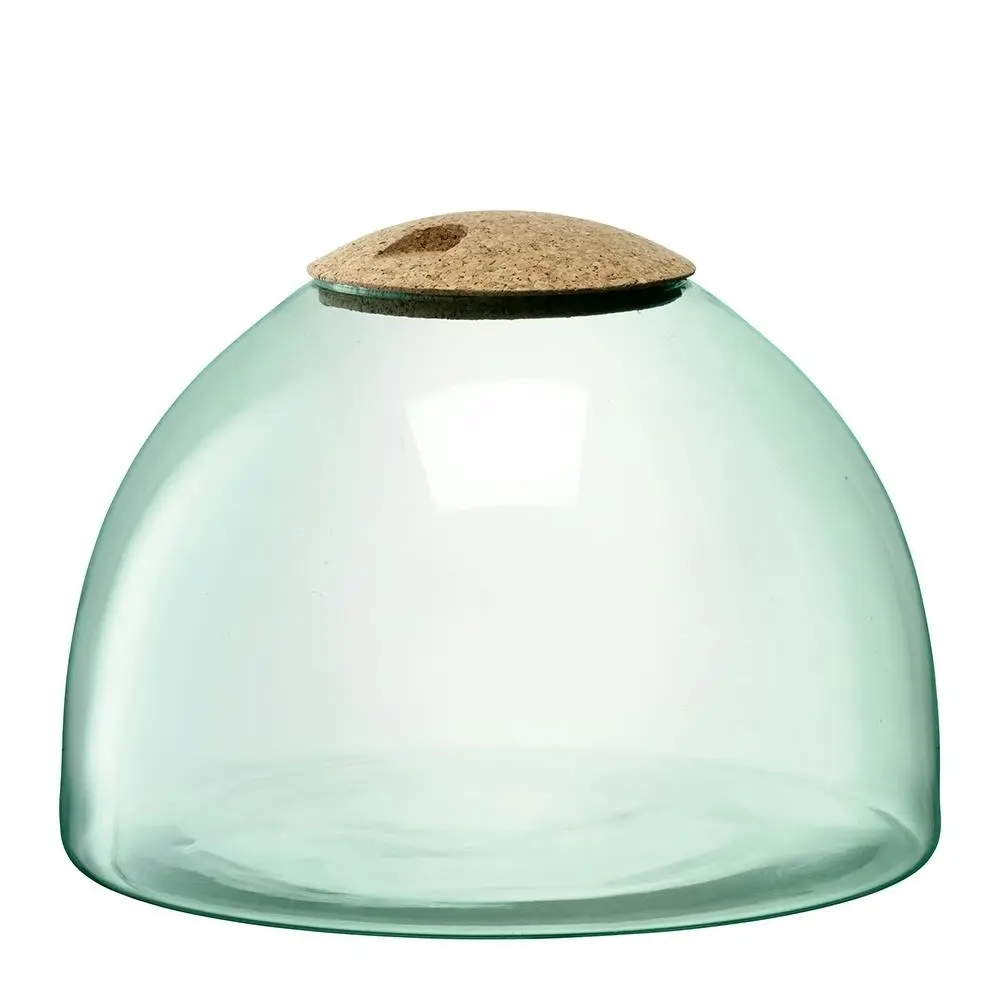 LSA International 22cm Canopy Enclosed Garden Indoor Terrarium Recycled/Handmade - Home & Garden