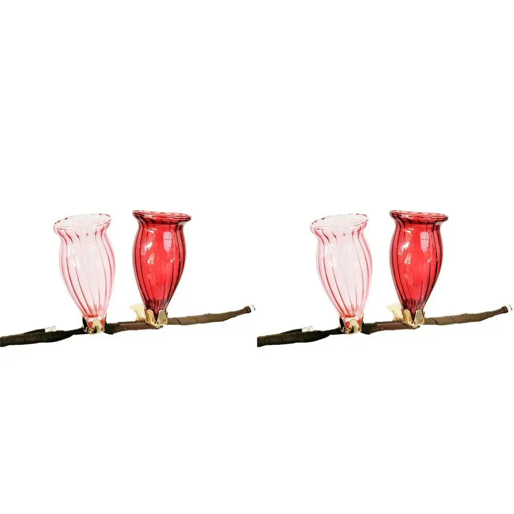 4pc Urban Products Decorative Kinkora Flower Clip Vases Clear Home Decor Light - Home & Garden
