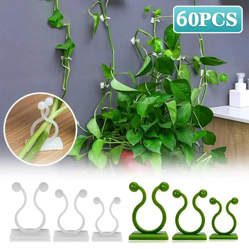 60 Pcs Plant Climbing Wall Clips Vine Buckle Hook Rattan Clamp Fixator - Home & Garden