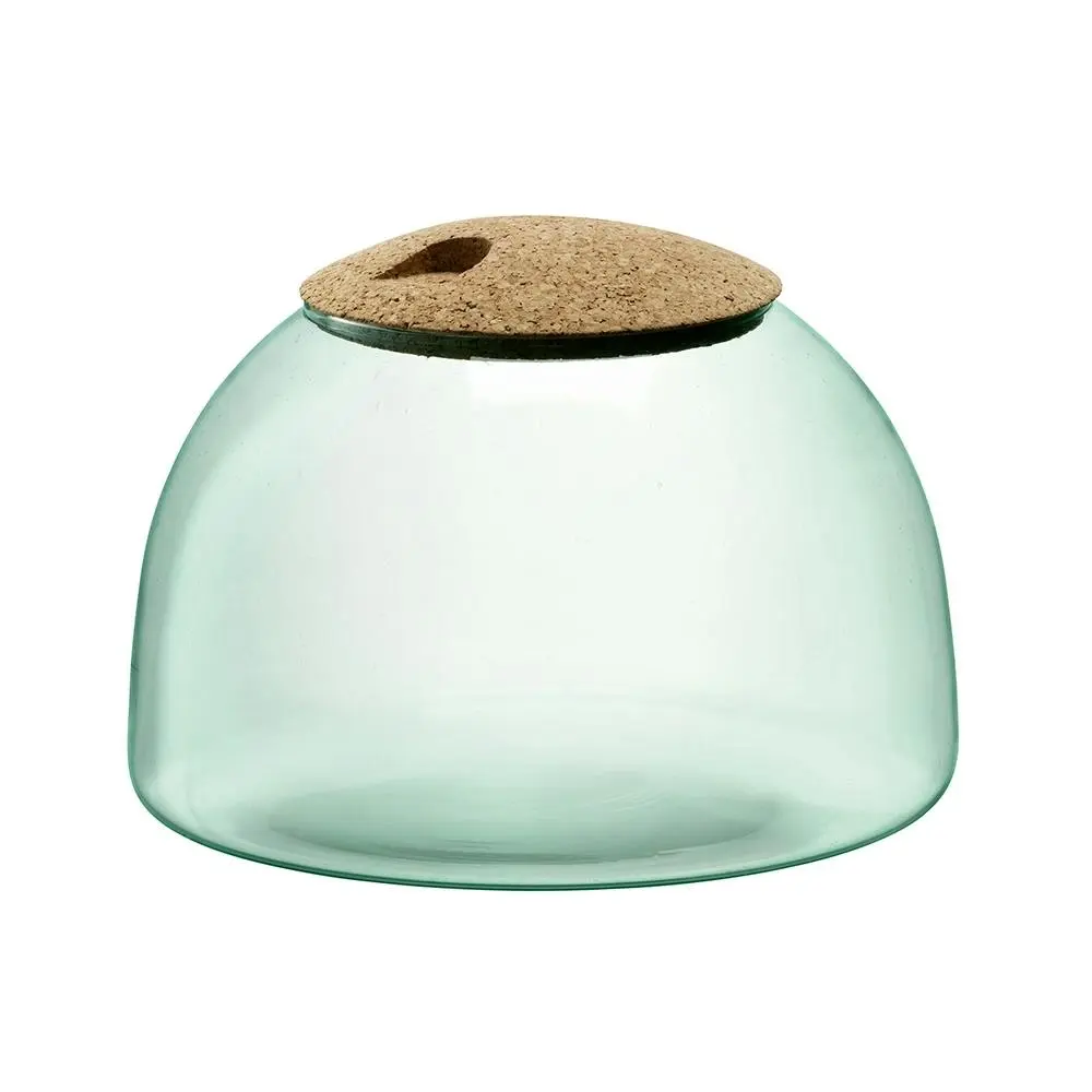 LSA International 16.5cm Canopy Closed Garden Glass Planter Home Decor Clear - Home & Garden