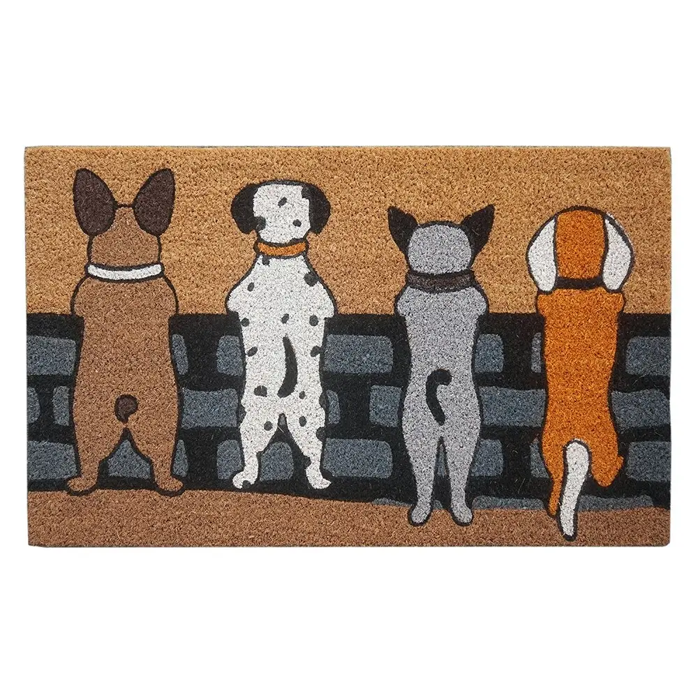 Solemate Latex Backed Coir Dogs on Fence 45x75cm Slimline Outdoor Doormat - Home & Garden