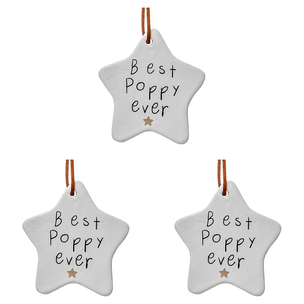 3x Ceramic Hanging 9cm Star Best Poppy w/Ribbon Ornament Home/Office Room Decor - Home & Garden
