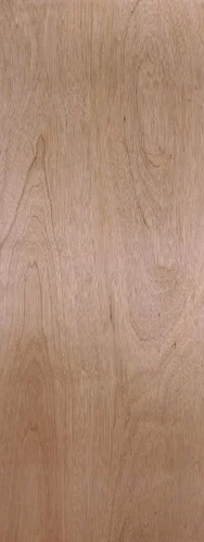 28 in x 80 in, Hardwood, Hollow Core, Interior Slab Door - McCOY'S