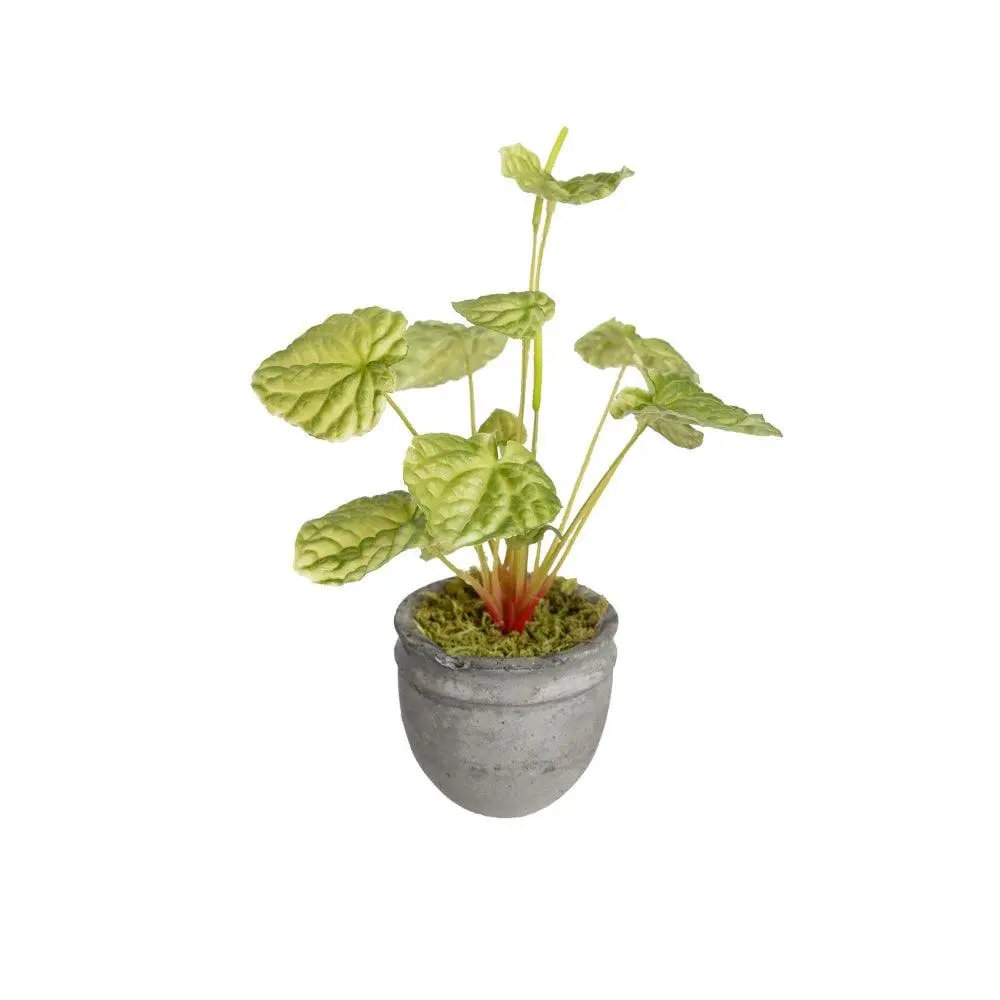 Glamorous Fusion Green Begonia Bush Artificial Faux Plant Decorative 20cm In Pot - Home & Garden