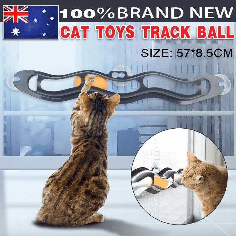 Interactive Cat Track Ball Toy with Window Suction Cup for Indoor Play and Exercise - Pets