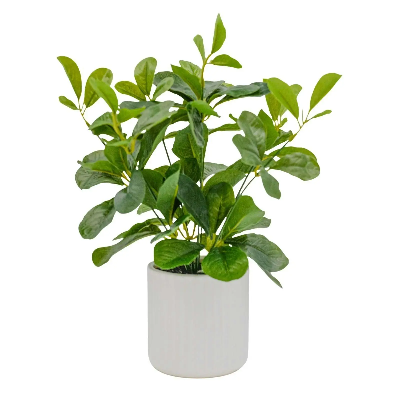 Artificial Greenery Plant in Ceramic Pot 30cm - Home & Garden