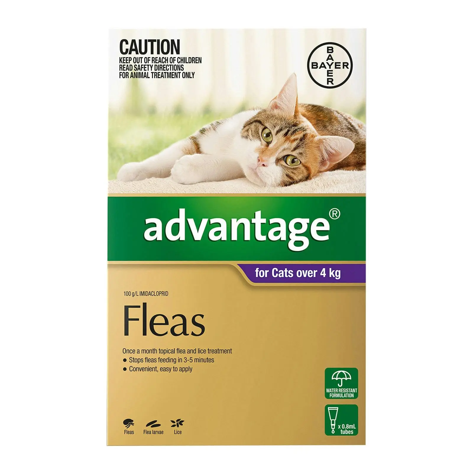 ADVANTAGE For Cats Over 4Kg (Purple) 12 Pack - Pets