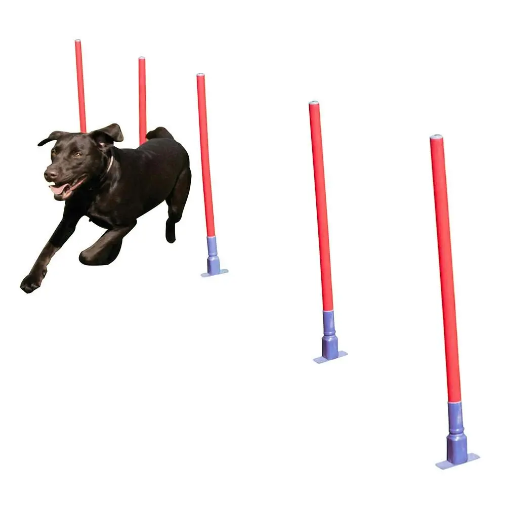 5pc Coopet 81cm Pet Dog Collection Slalom Outdoor Agility Run Training Pole Set - Pets