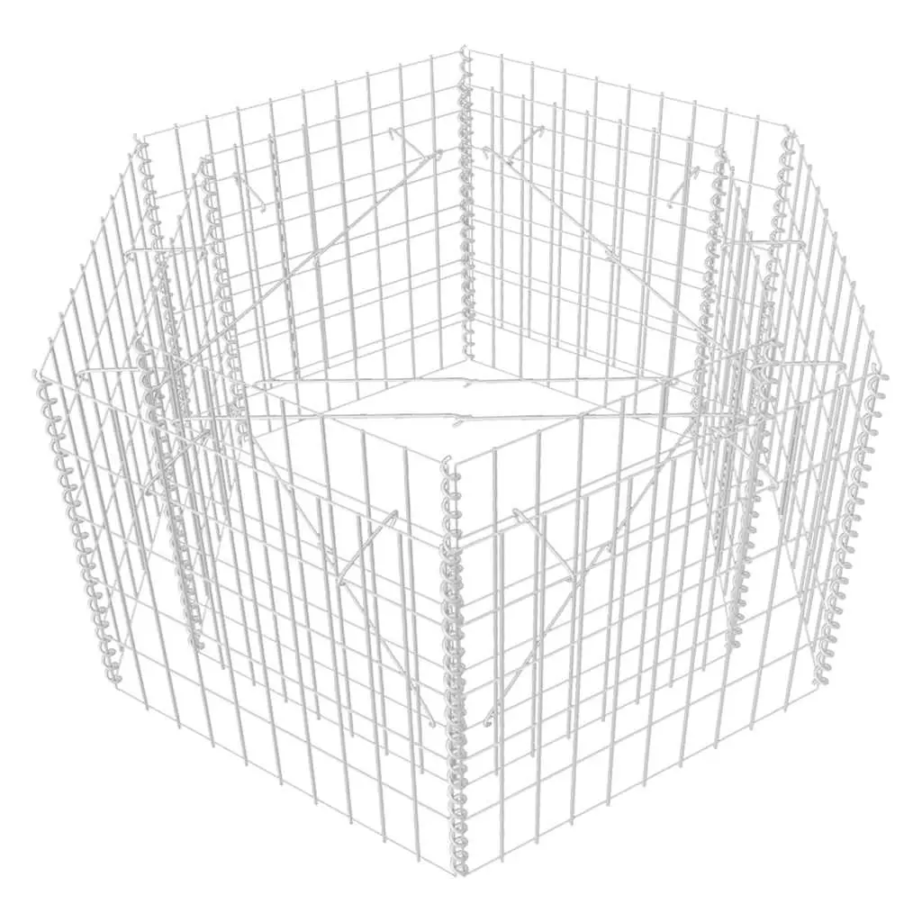 Hexagonal Gabion Raised Bed 100x90x50 cm 142532 - Home & Garden