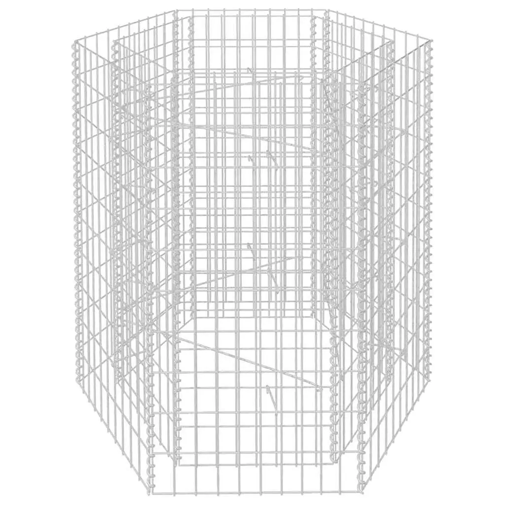 Hexagonal Gabion Raised Bed 100x90x100 cm 142533 - Home & Garden