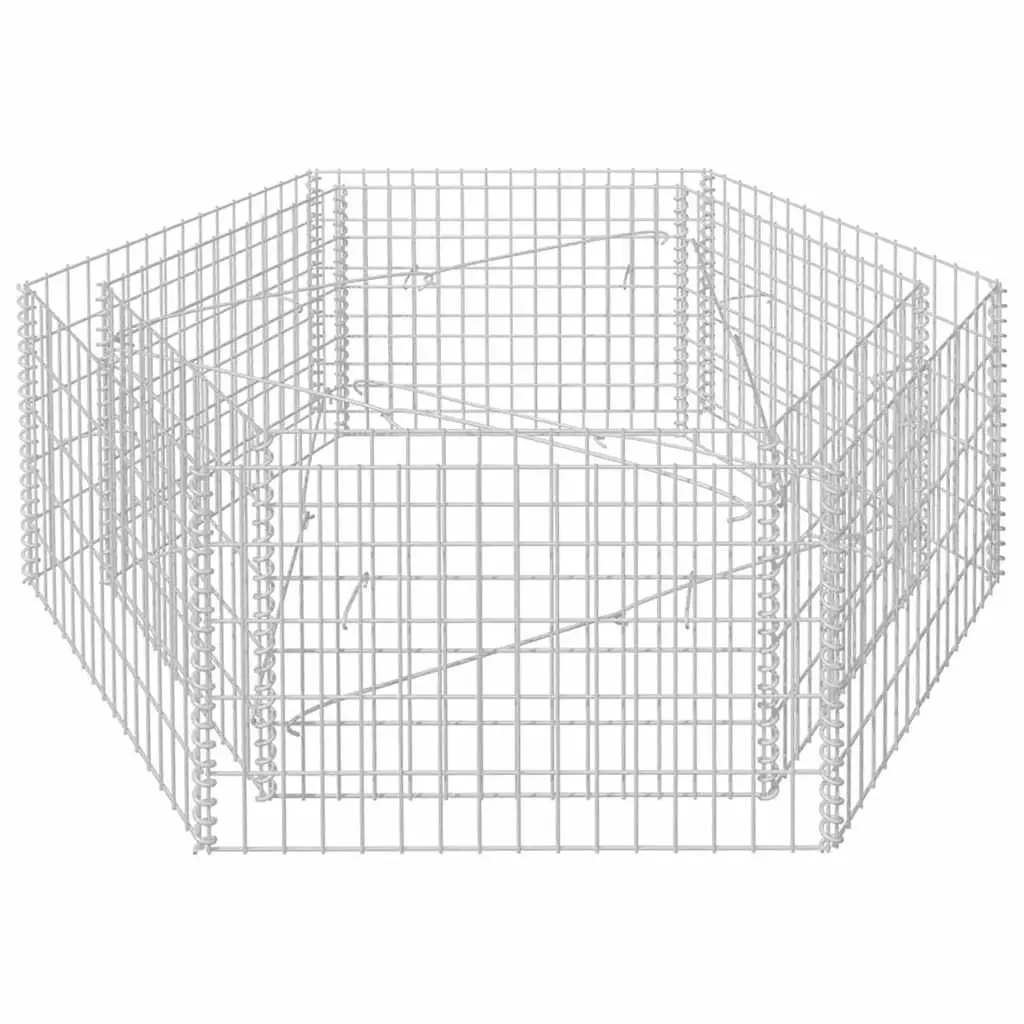 Hexagonal Gabion Raised Bed 160x140x50 cm 142534 - Home & Garden