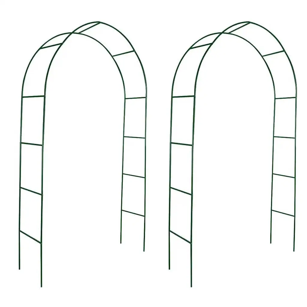 Garden Arch 2 pcs Climbing Plants 40776 - Home & Garden