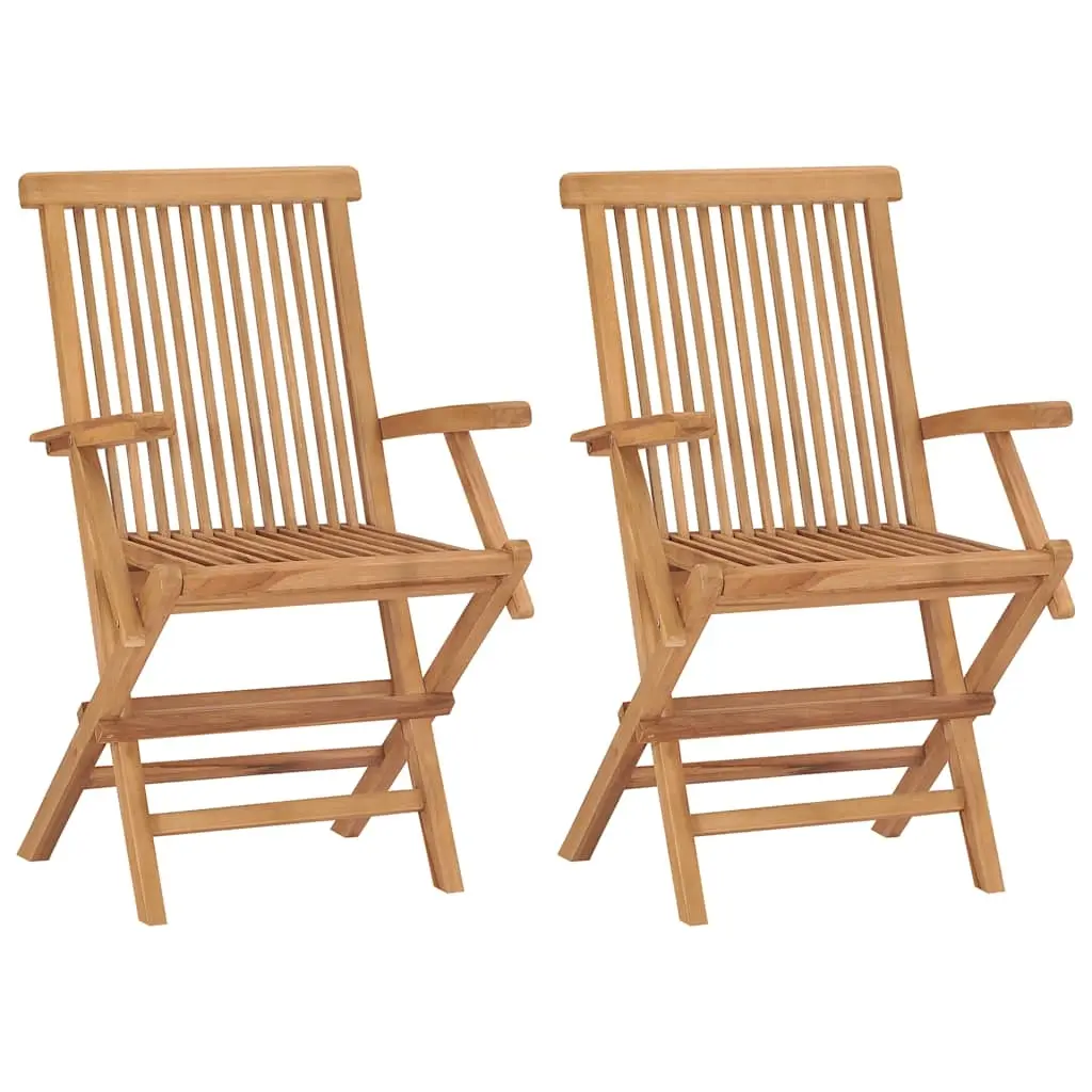 Folding Garden Chairs 2 pcs Solid Teak Wood 41999 - Furniture