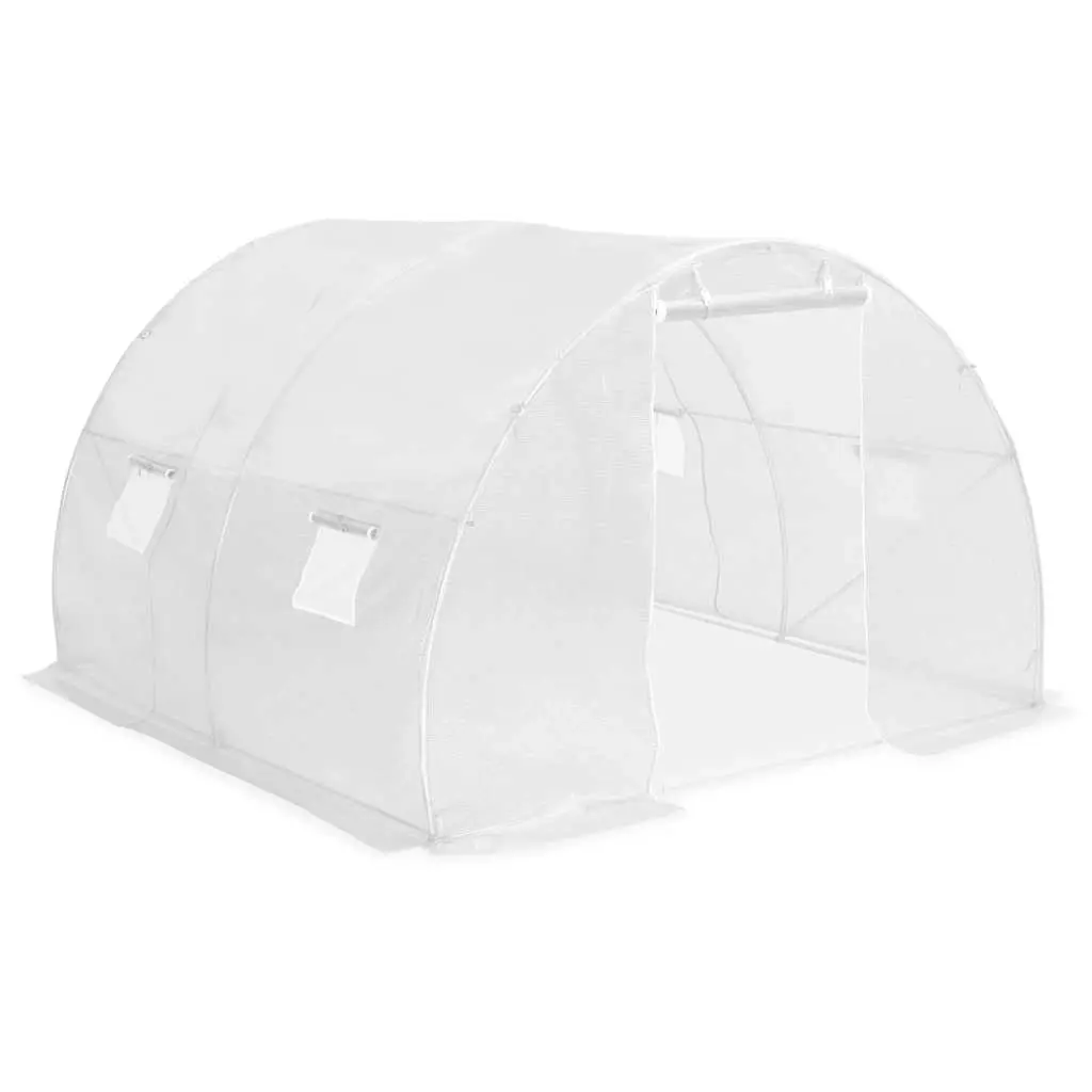 Greenhouse 9 m² 300x300x200 cm 45749 - Home & Garden