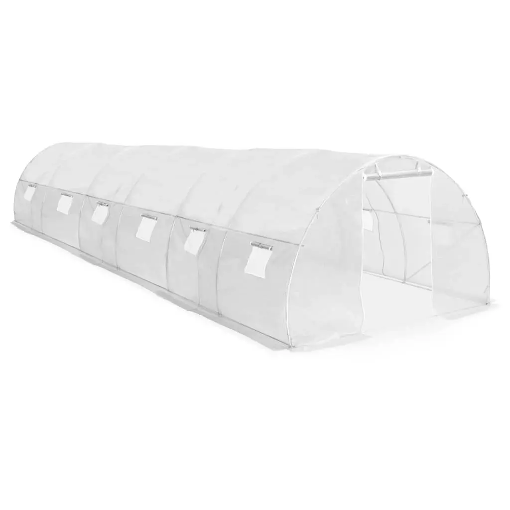 Greenhouse 27 m² 900x300x200 cm 45752 - Home & Garden