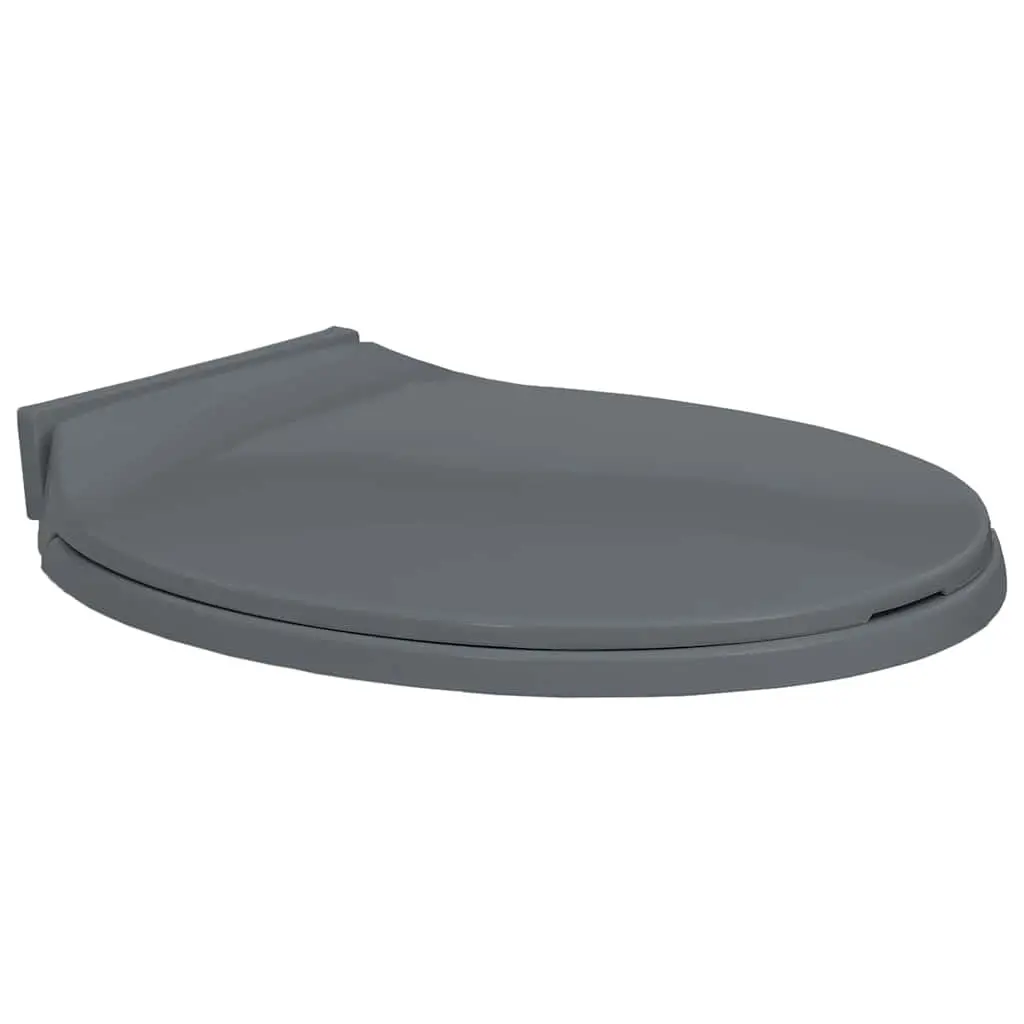 Soft-Close Toilet Seat Grey Oval 145816