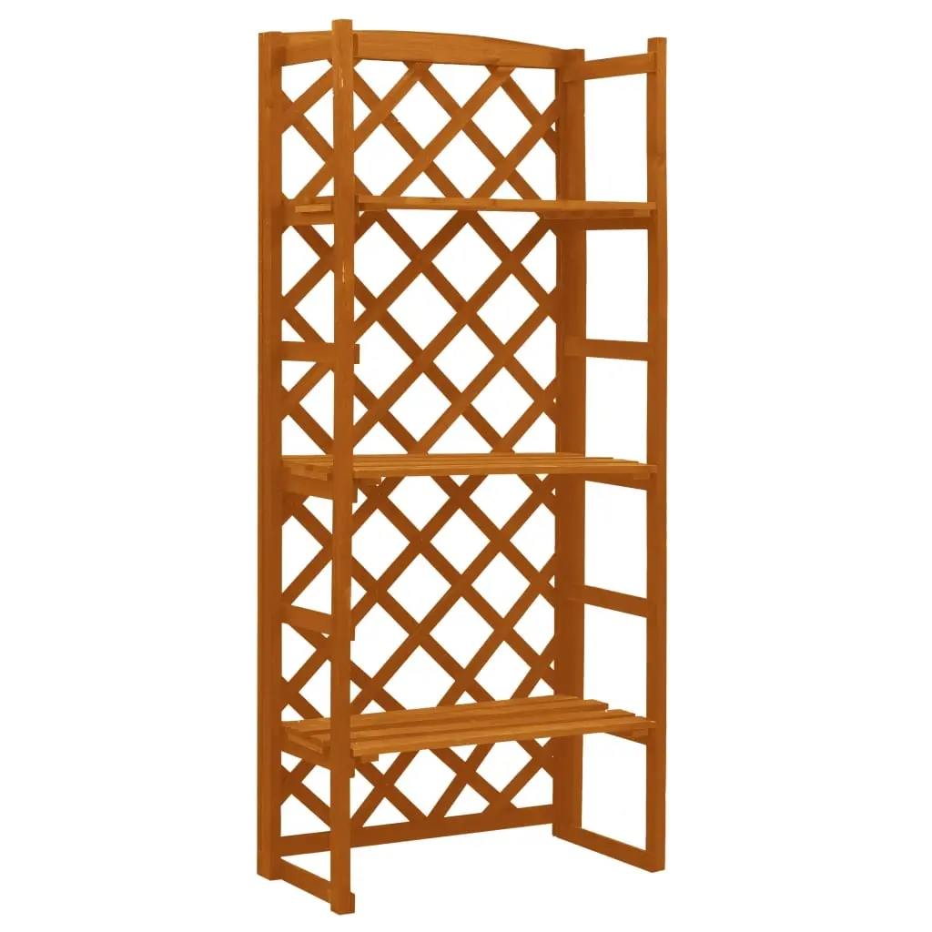 Plant Stand with Trellis Orange 60x30x140 cm Solid Firwood 314834 - Home & Garden