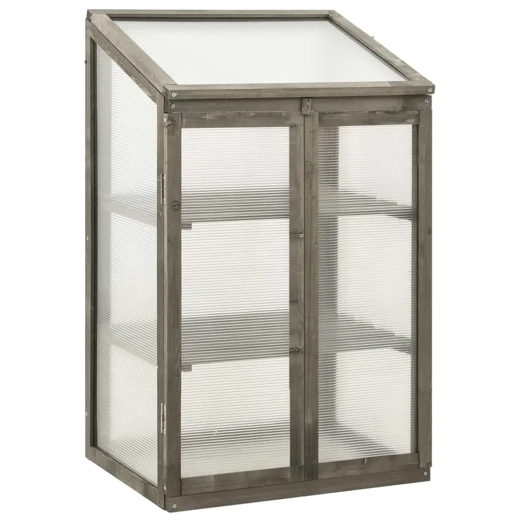 Greenhouse 60x45x100 cm Firwood 314849 - Home & Garden
