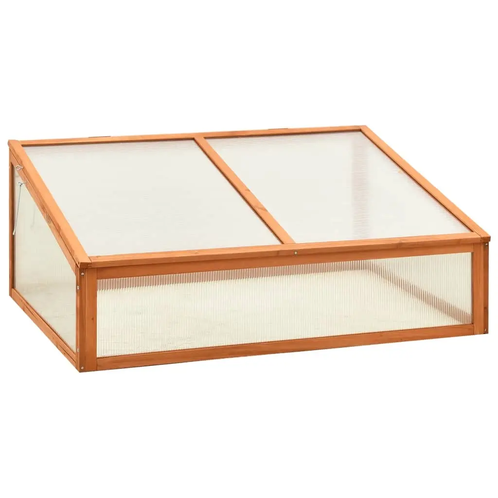 Greenhouse 100x65x40 cm Firwood 314850 - Home & Garden