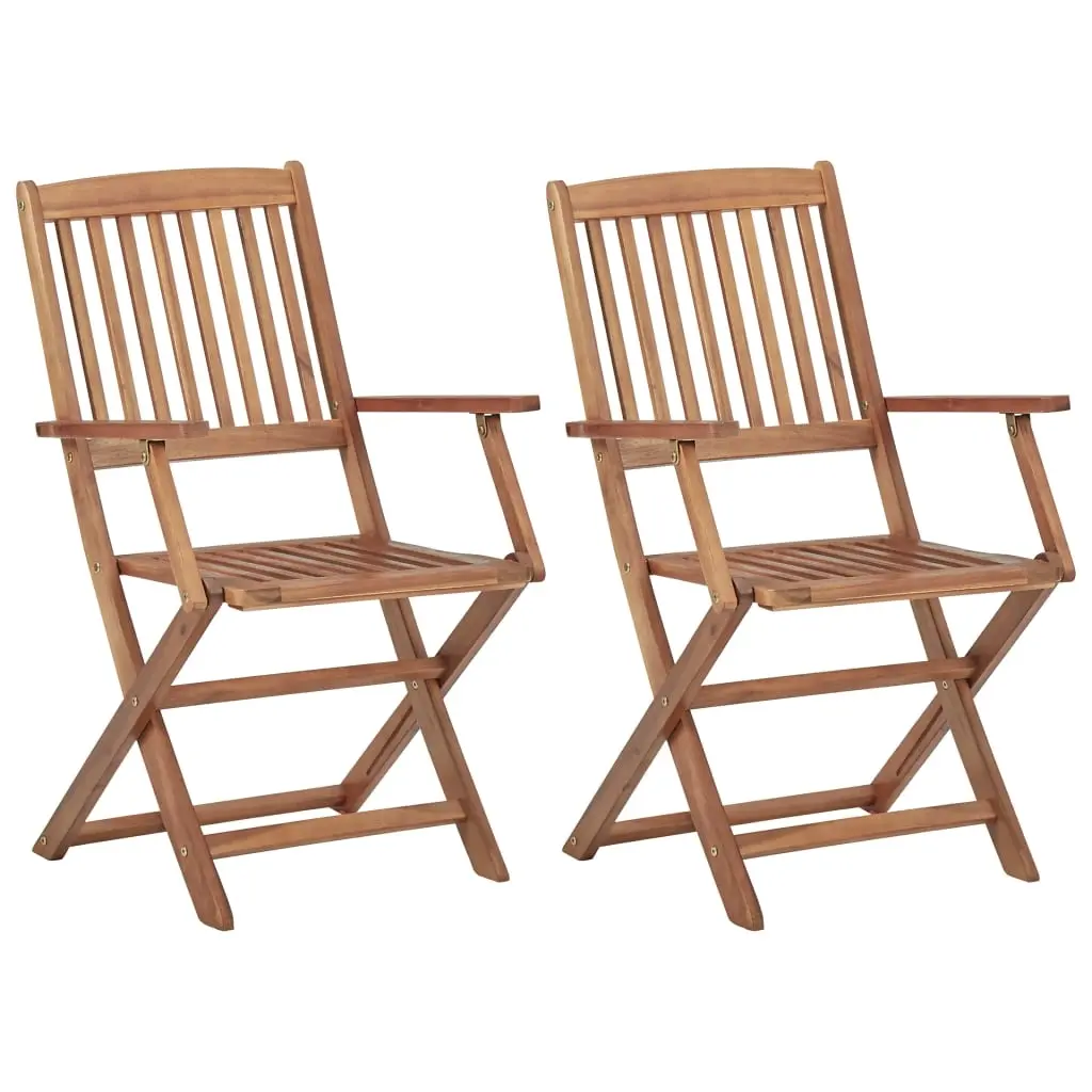 Folding Outdoor Chairs 2 pcs Solid Acacia Wood 313601 - Furniture