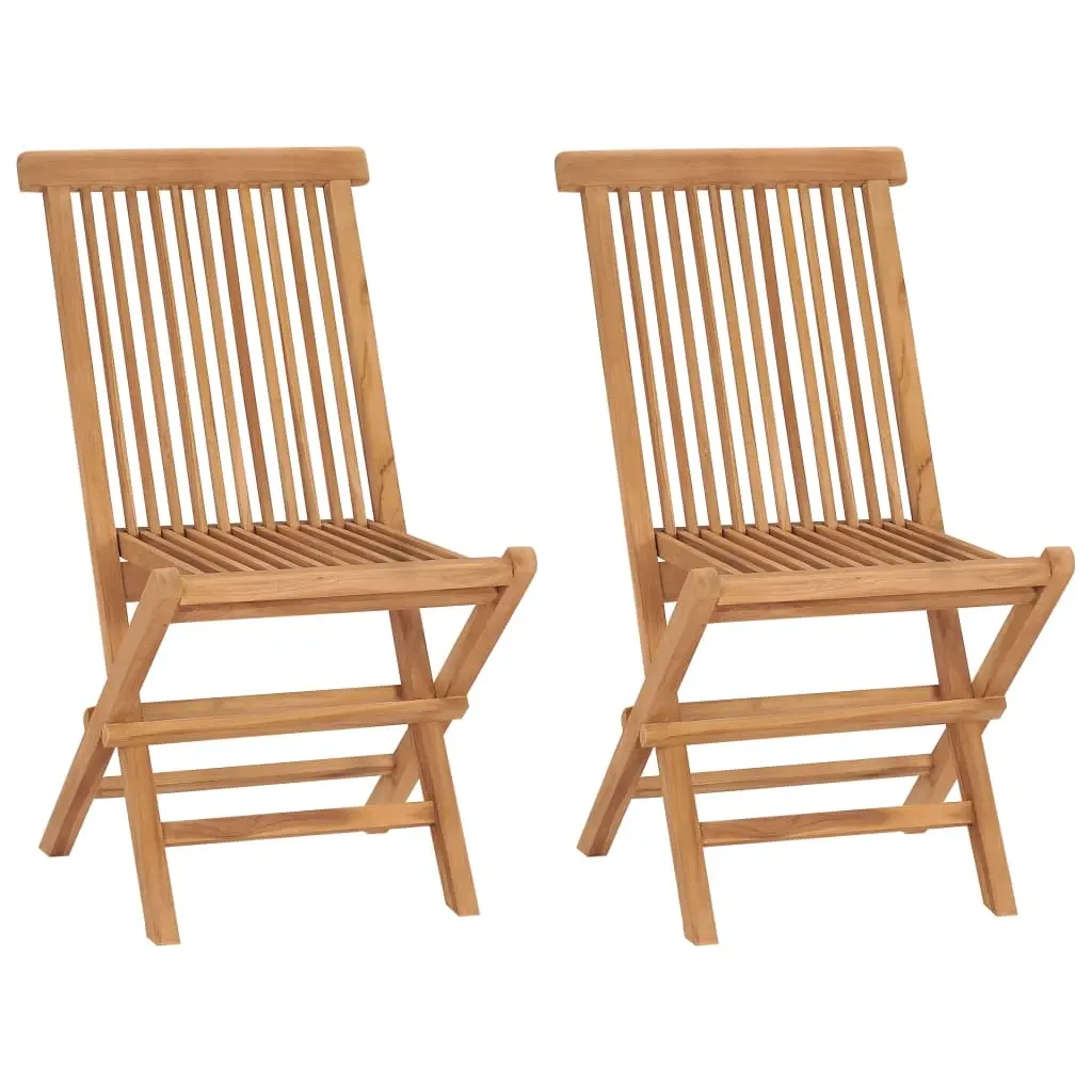 Folding Garden Chairs 2 pcs Solid Wood Teak 315441 - Furniture