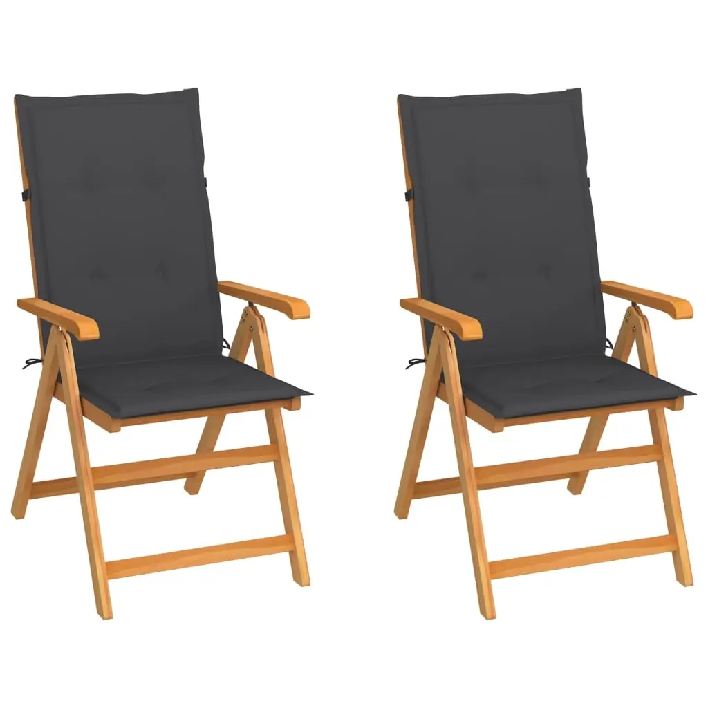 Garden Chairs 2 pcs with Anthracite Cushions Solid Teak Wood 3062376 - Furniture