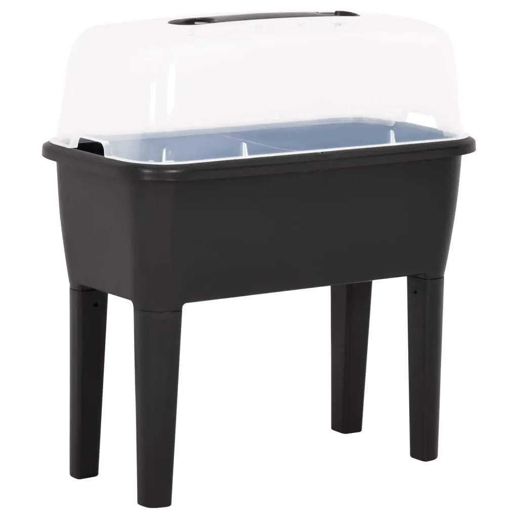 Raised Bed 77x38.7x82 cm PP 316186 - Home & Garden
