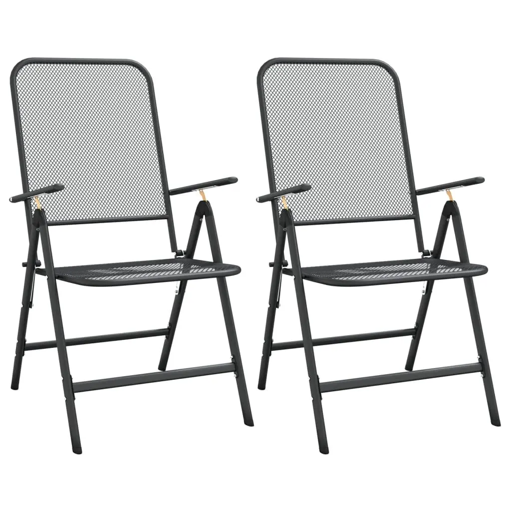 Folding Garden Chairs 2 pcs Expanded Metal Mesh Anthracite 317340 - Furniture