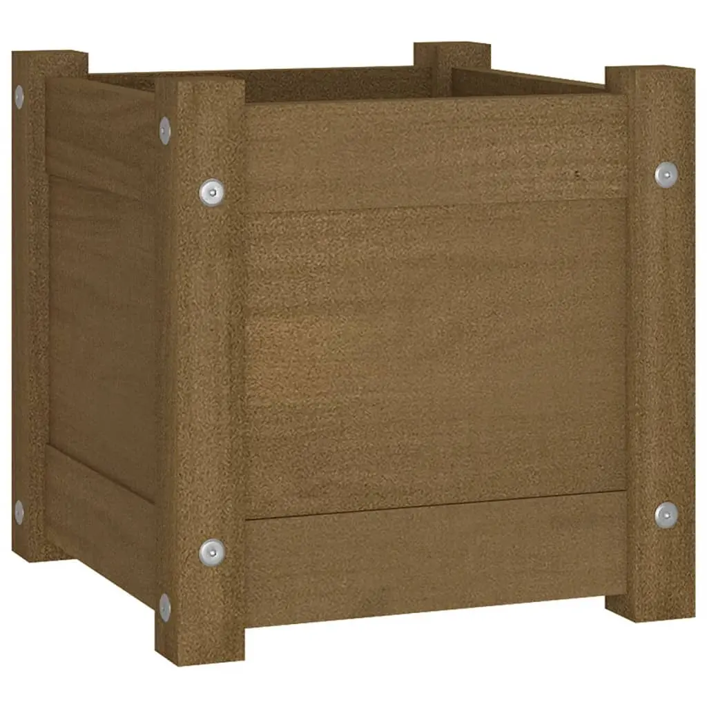 Garden Planter Honey Brown 31x31x31 cm Solid Pinewood 810528 - Home & Garden