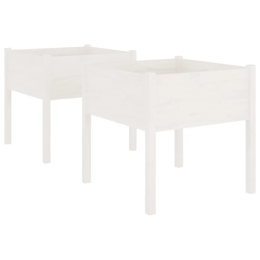 Garden Planters 2 pcs White 70x70x70 cm Solid Pinewood 810812 - Home & Garden
