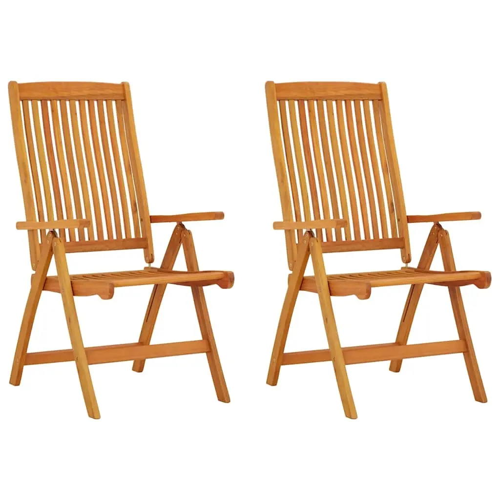 Folding Garden Chairs 2 pcs Solid Wood Eucalyptus 316069 - Furniture