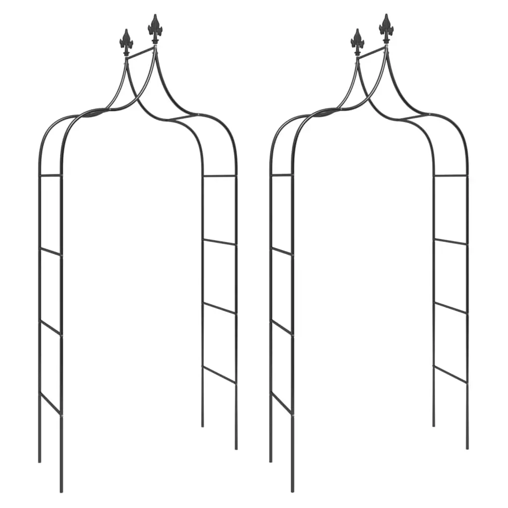 Garden Arches 2 pcs Black 120x38x260 cm Steel 319349 - Home & Garden