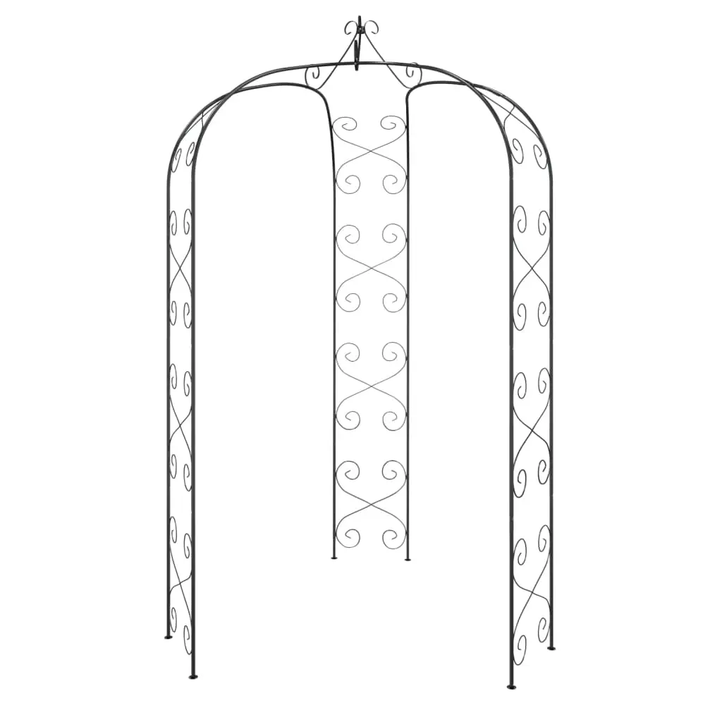 Garden Arch Black Ø180x255 cm Steel 319351 - Home & Garden