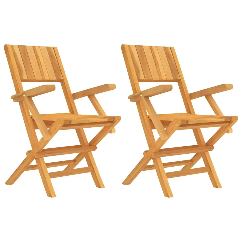 Folding Garden Chairs 2 pcs 55x61x90 cm Solid Wood Teak 362760 - Furniture