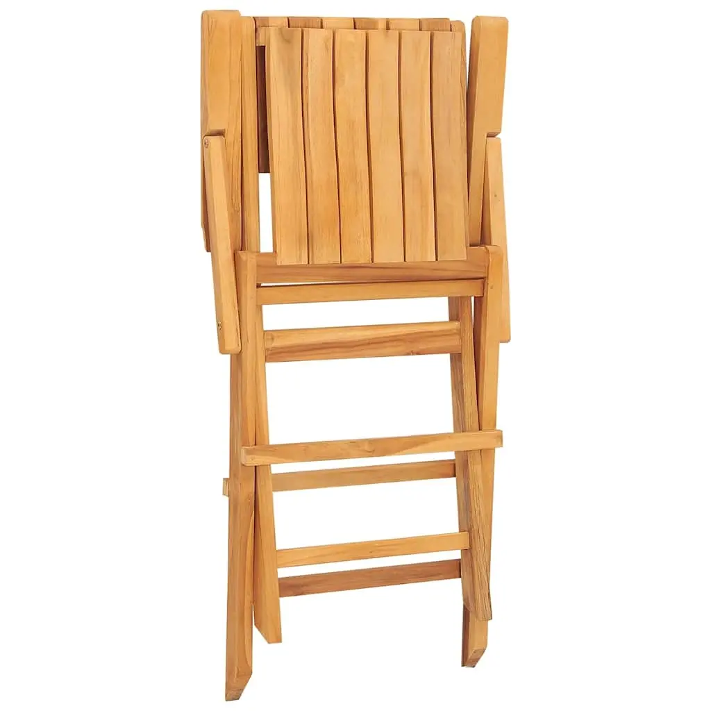 Folding Garden Chairs 8 pcs 55x62x90 cm Solid Wood Teak 3155069 - Furniture
