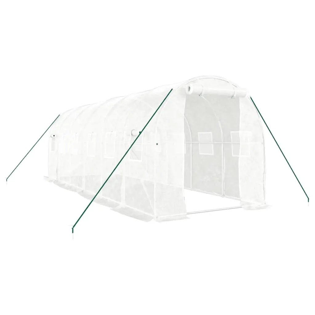 Greenhouse with Steel Frame White 12 m² 6x2x2 m 3188029 - Home & Garden