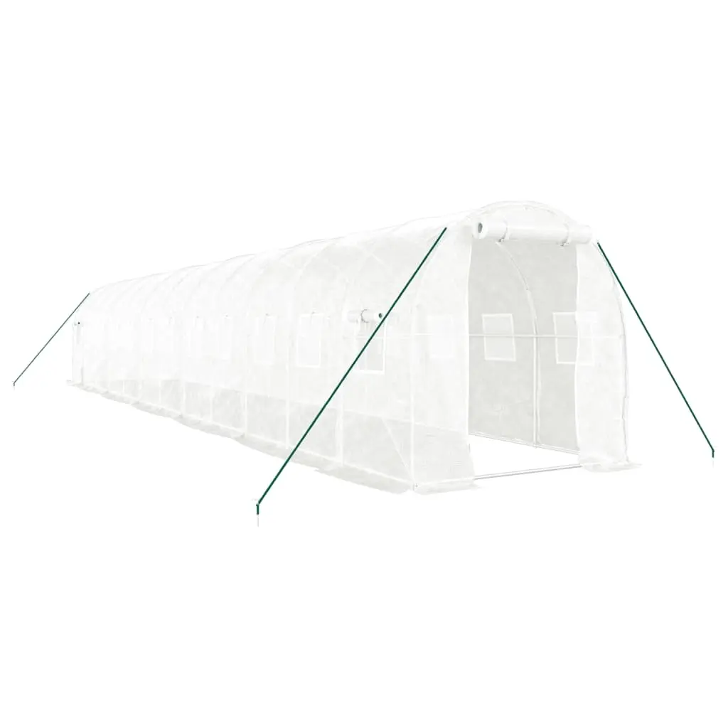 Greenhouse with Steel Frame White 24 m² 12x2x2 m 3188032 - Home & Garden
