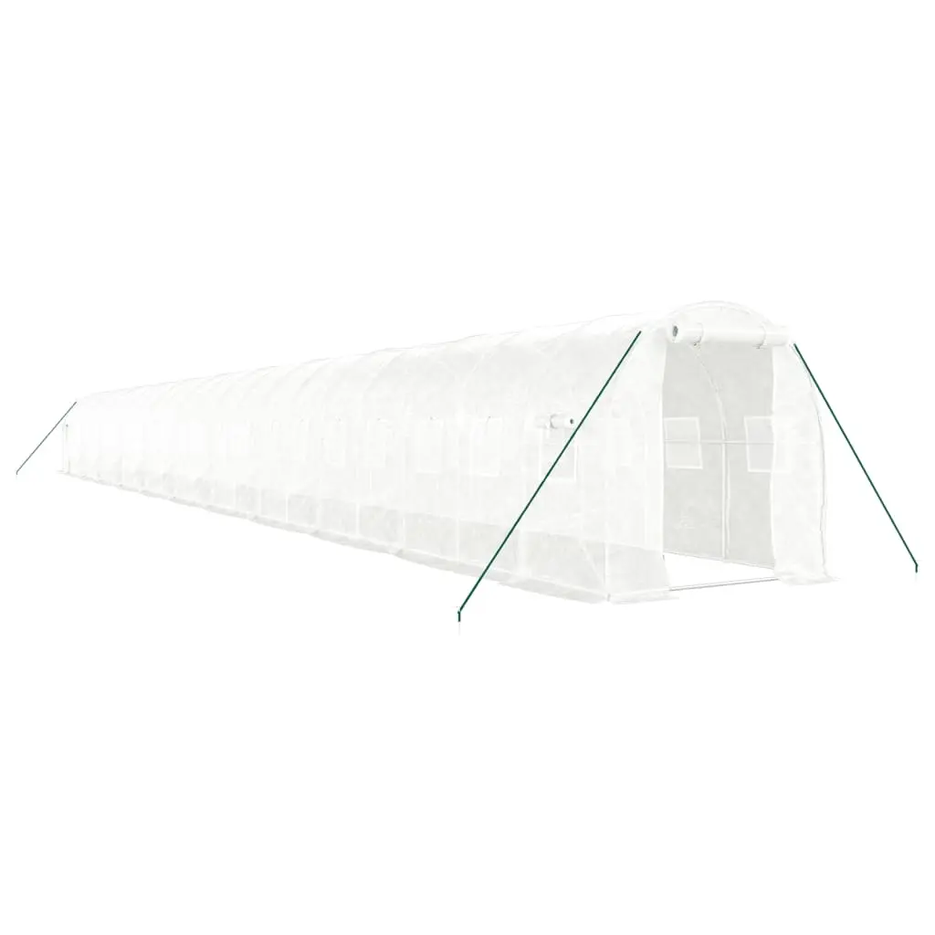 Greenhouse with Steel Frame White 44 m² 22x2x2 m 3188037 - Home & Garden