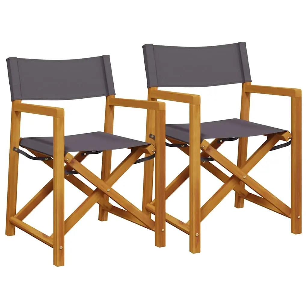 Folding Director Chairs 2 pcs Dark Grey Fabric 365838 - Furniture