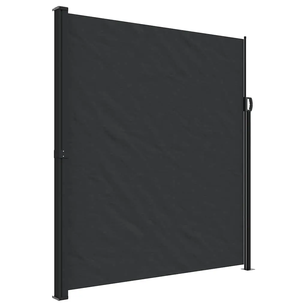 Retractable Side Awning Black 220x300 cm 4004369 - Home & Garden