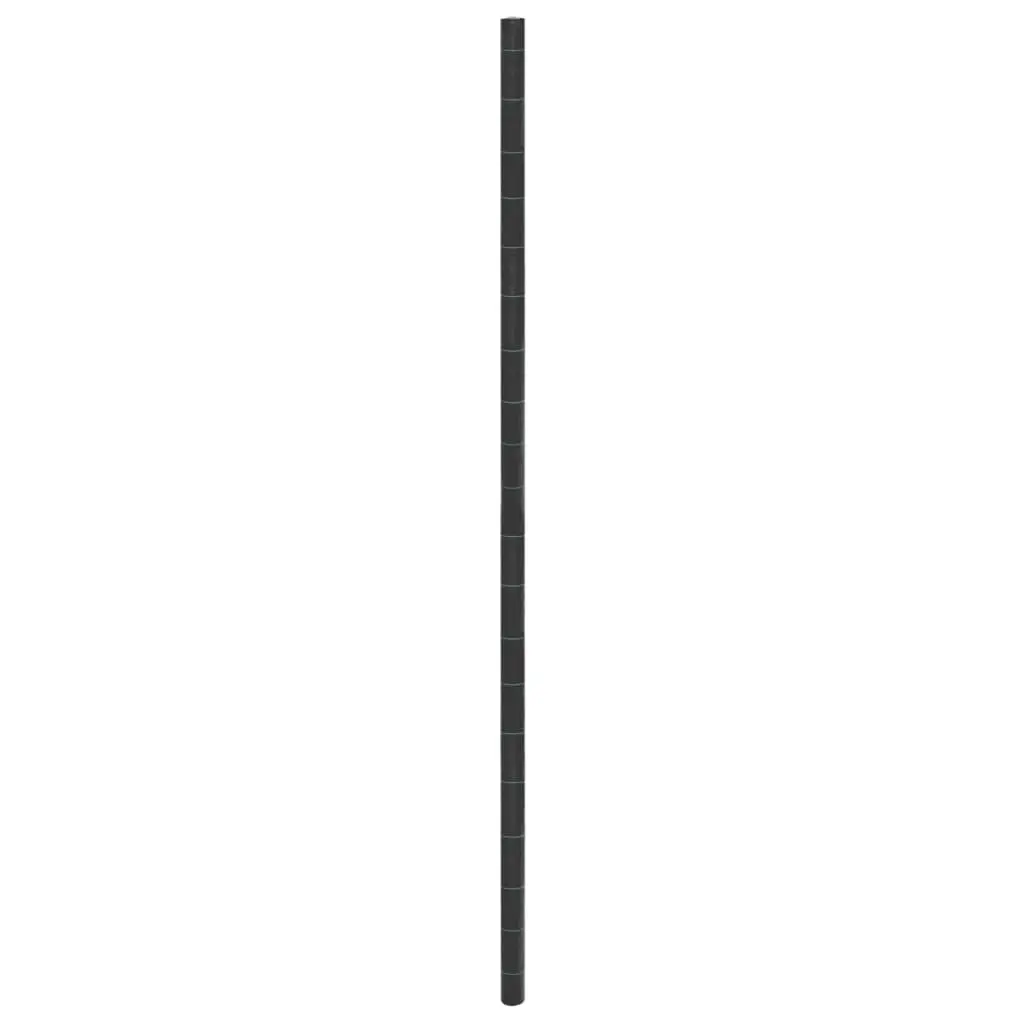 Weed Membrane Black 4x25 m PP 4005166 - Home & Garden